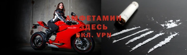 стаф Алексин