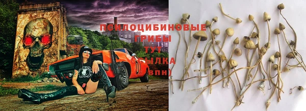 jwh Алзамай