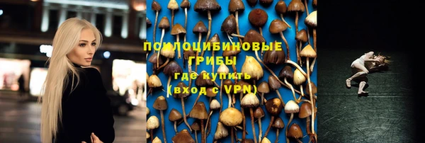 прущий лед Михайлов