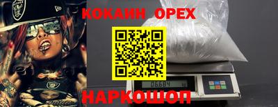 соль ск Бердск
