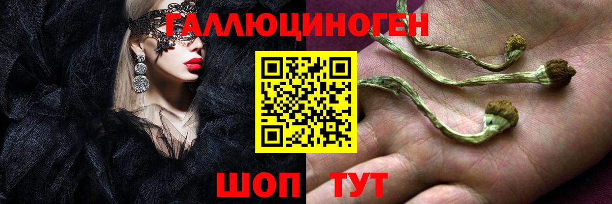 Галлюциногенные грибы ЛСД Аргун