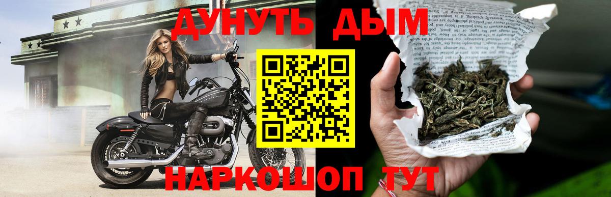 Каннабис OG Kush Аргун